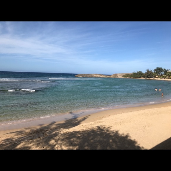 Meet your Posher, Andrea - Picture 1 of 1